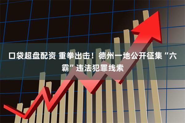 口袋超盘配资 重拳出击！德州一地公开征集“六霸”违法犯罪线索